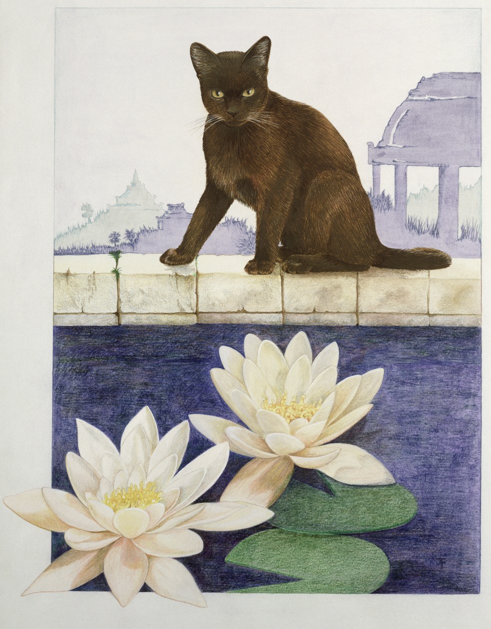 Birman - Joan Freestone