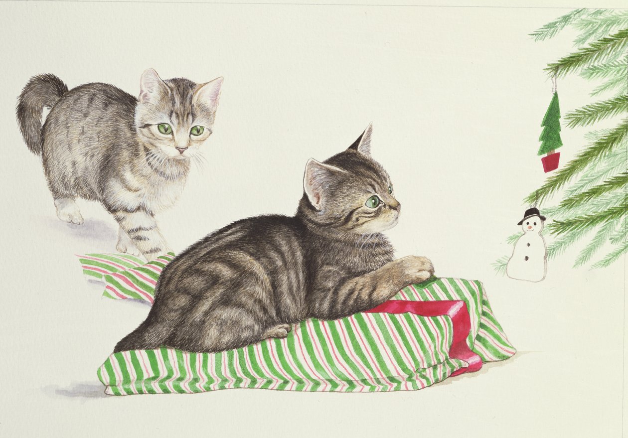 Deux chatons - Joan Freestone
