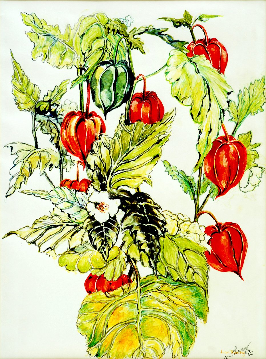 Lanternes chinoises - Joan Thewsey