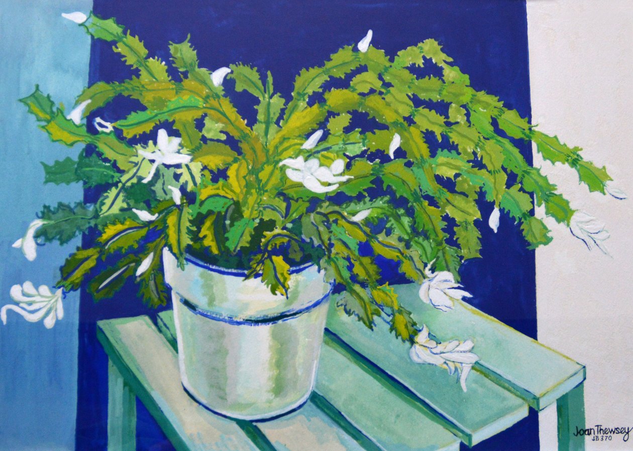Cactus de Noël - Joan Thewsey