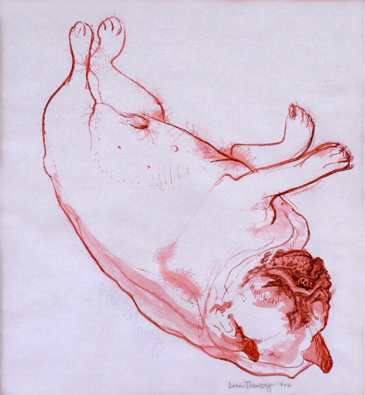 Hogarth dormant, 2005 - Joan Thewsey