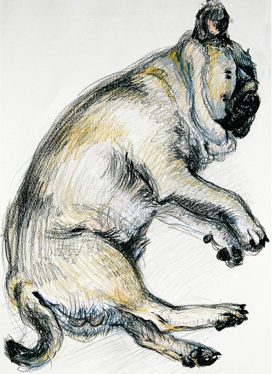 Carlin endormi, 2000 - Joan Thewsey