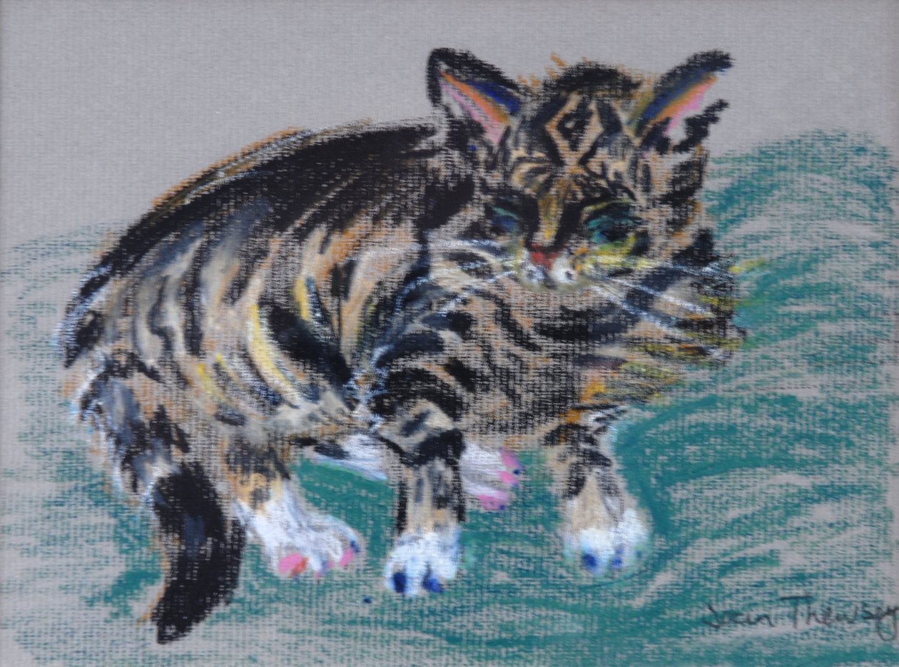 Chat tigré - Joan Thewsey