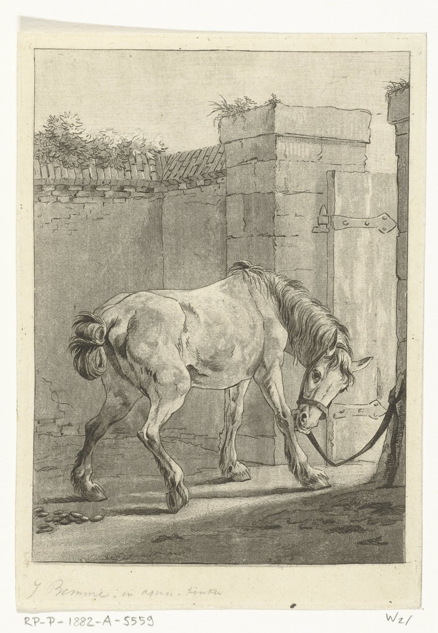 Un cheval attaché à un poteau - Joannes Bemme