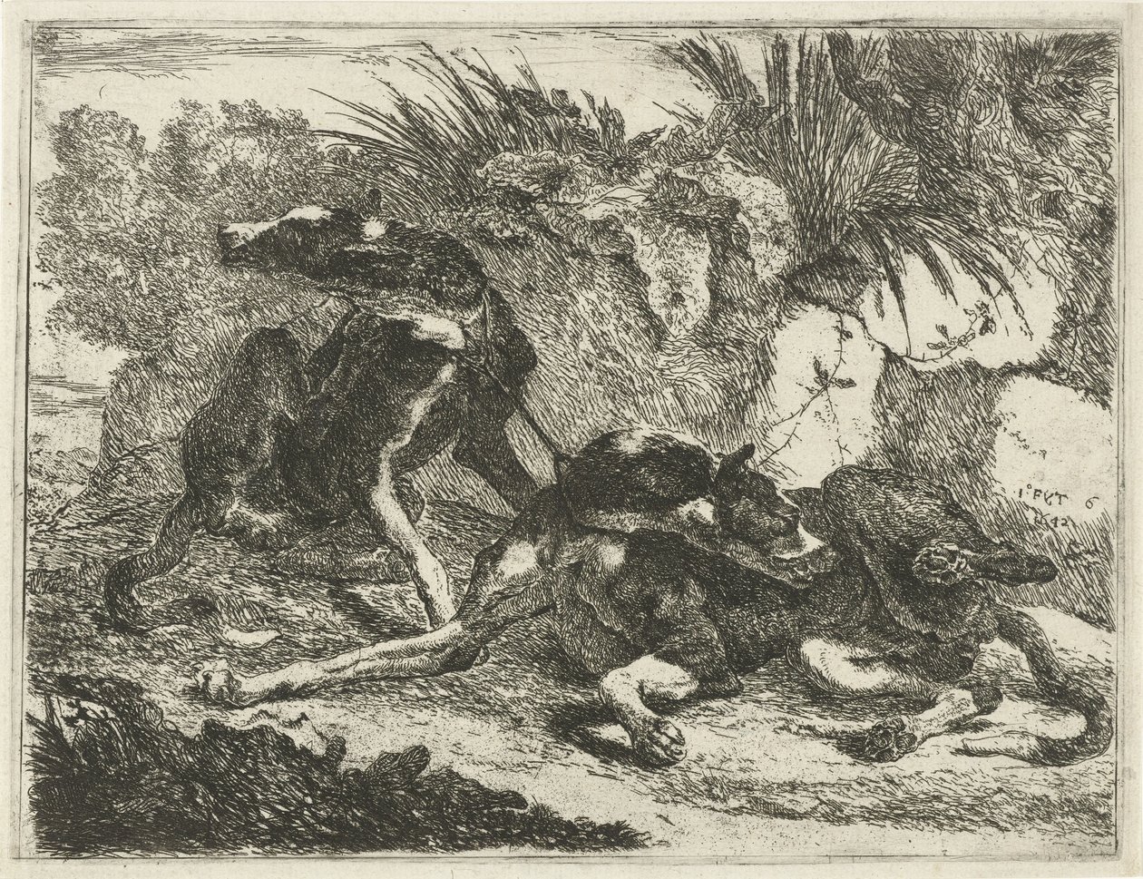 Deux chiens - Joannes Fijt