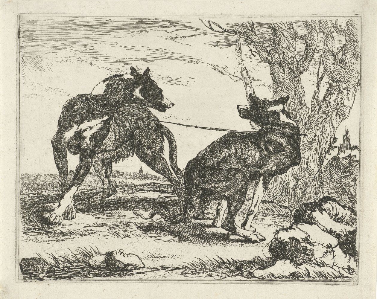 Deux chiens - Joannes Fijt