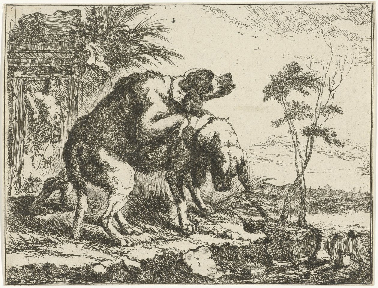 Deux chiens s