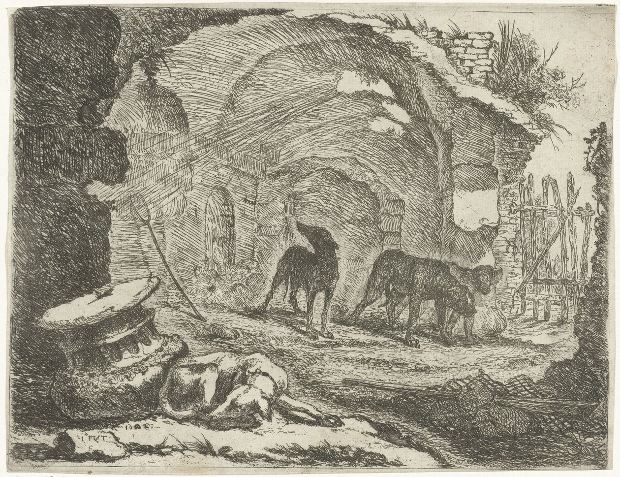 Quatre chiens près d
