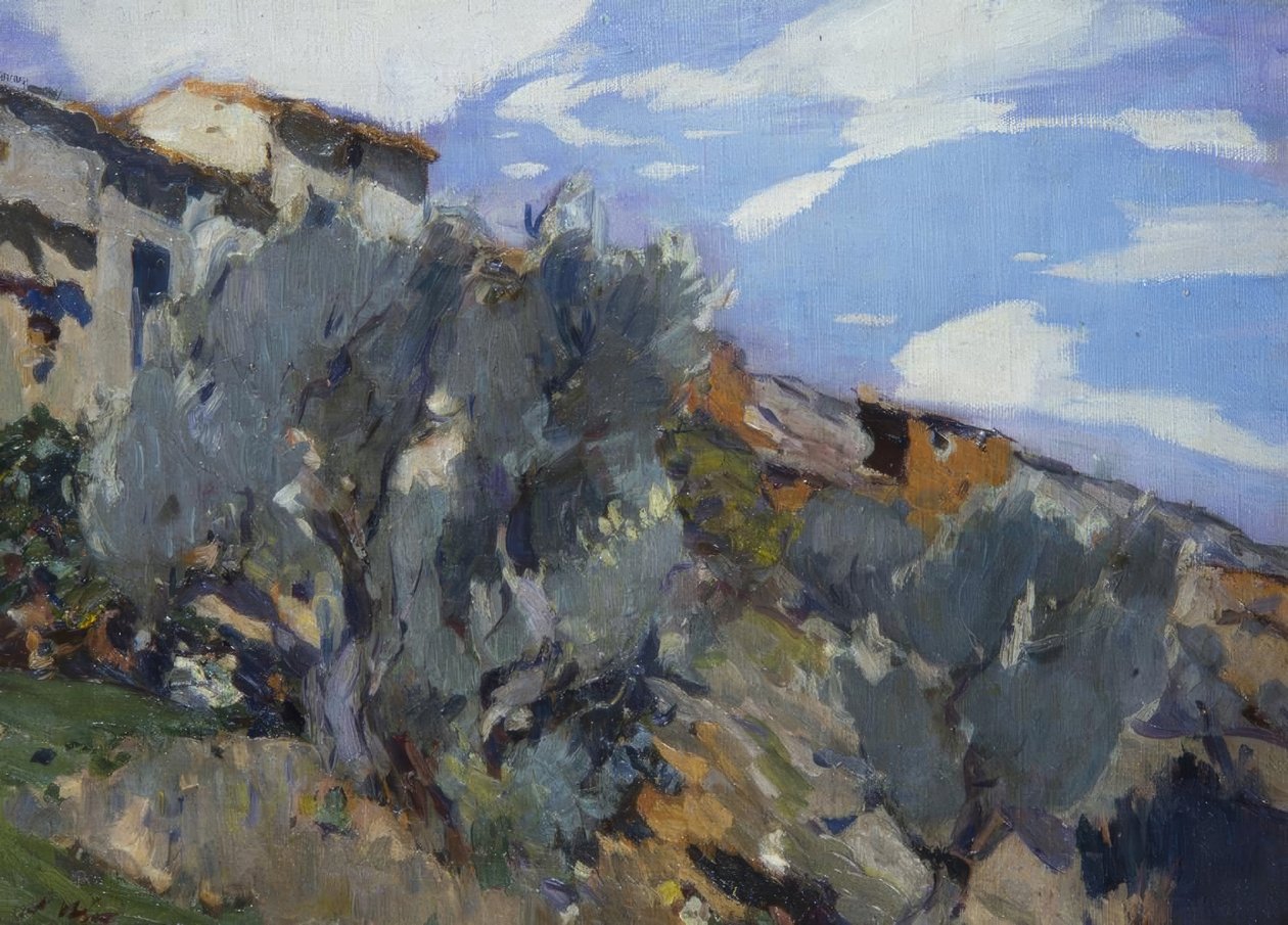 Ferme avec forêt - Joaquim Mir i Trinxet