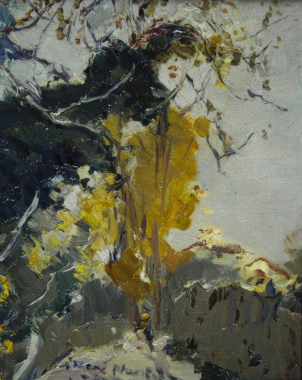 Arbre - Joaquim Mir i Trinxet
