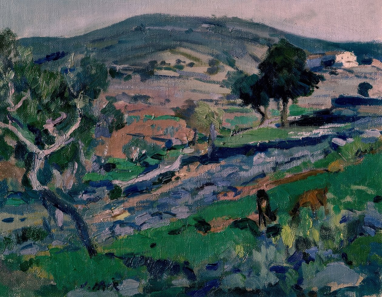 Paysage - Joaquim Mir i Trinxet