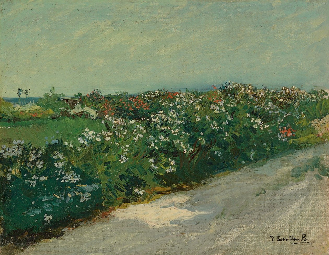 Malvarrosa - Joaquín Sorolla