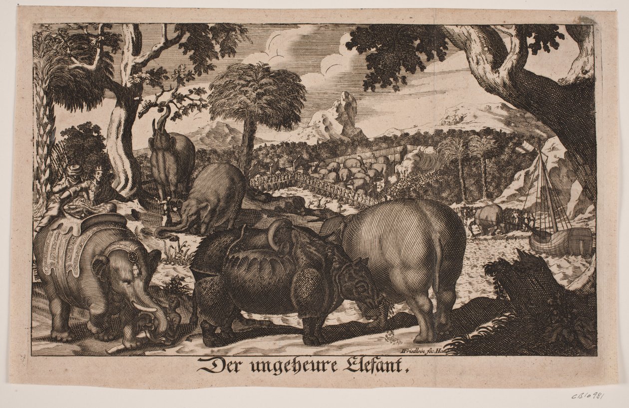 "Der ungeheure Elefant" - Johan Friedlein