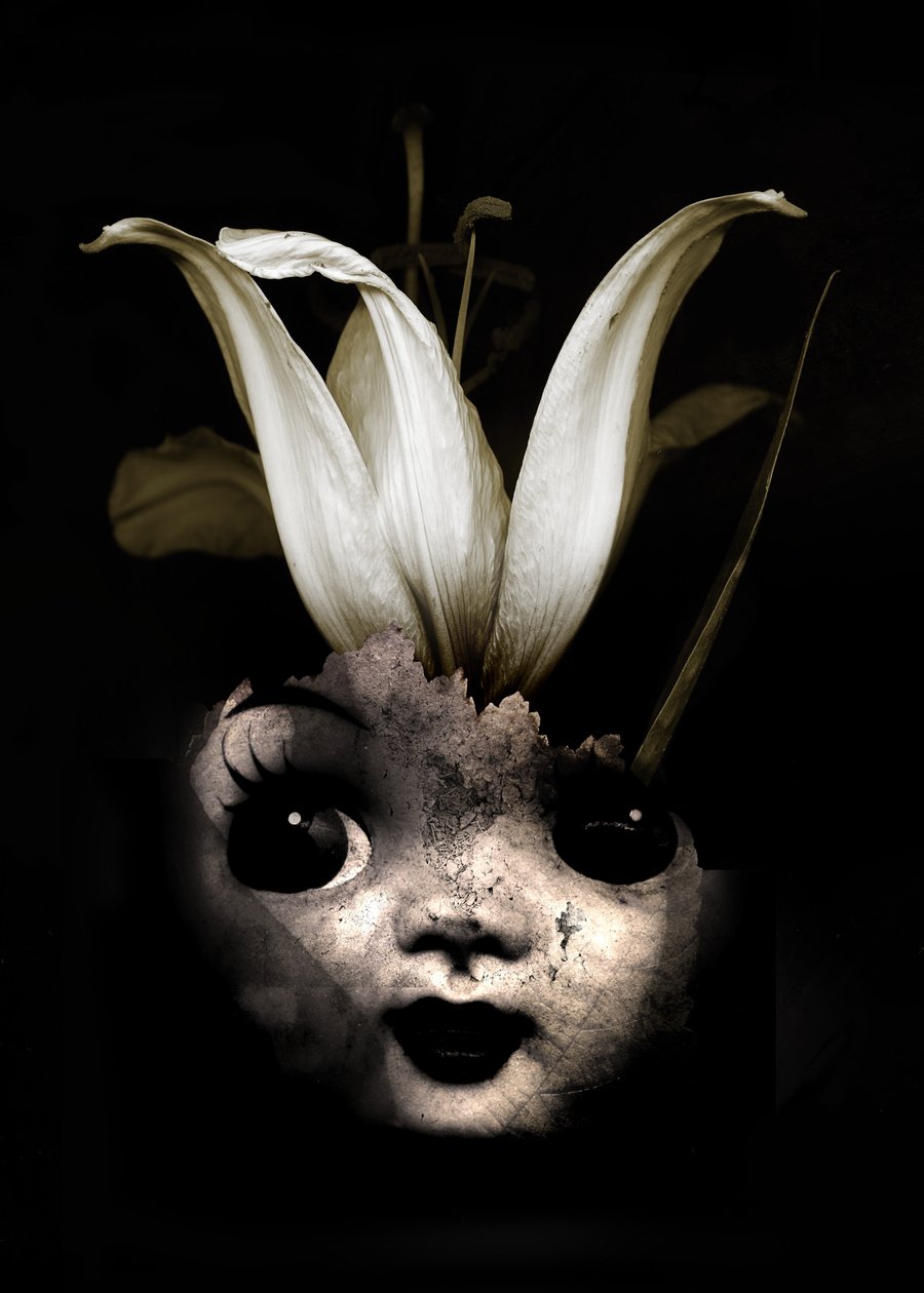 Fleur de poupée, 2013 - Johan Lilja