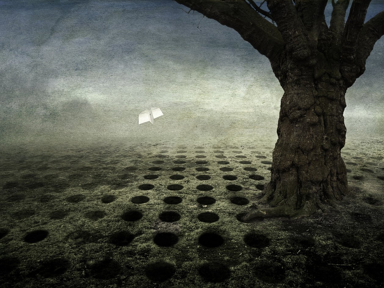Trous vides, 2014 - Johan Lilja