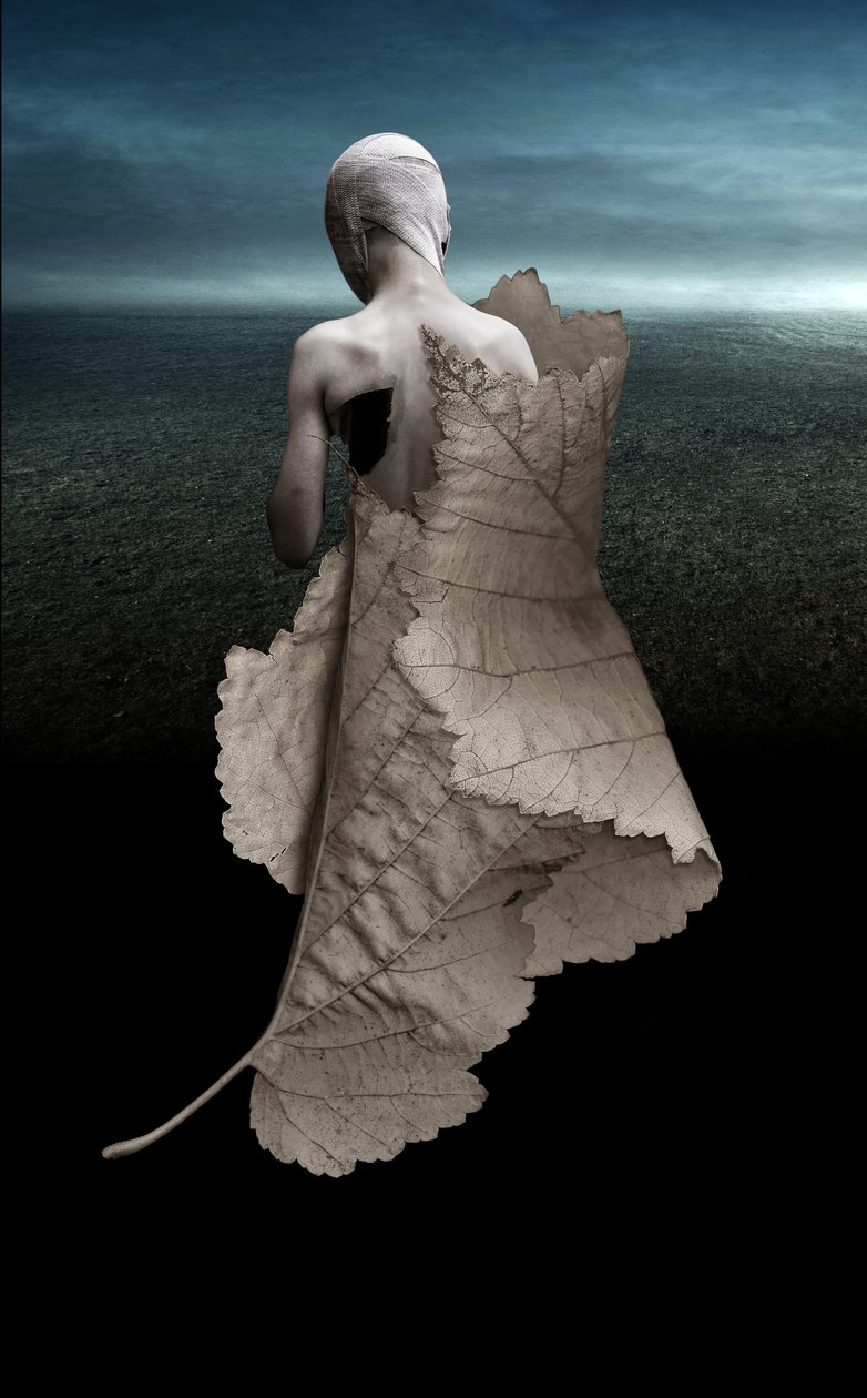 Blessure, 2015 - Johan Lilja