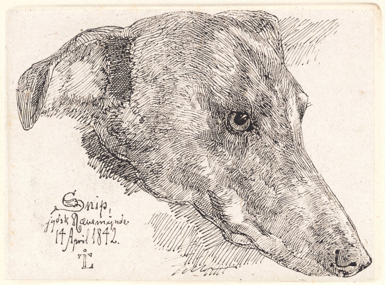 Danois : Hundehoved, Snip - Johan Lundbye