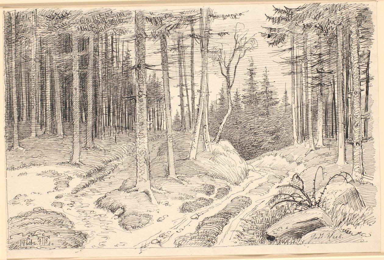 Chemin creux à travers une forêt de sapins - Johan Thomas Lundbye
