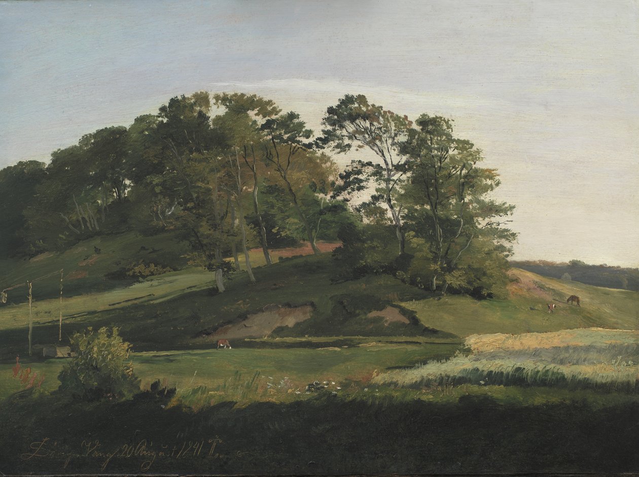 Collines boisées à Sørupvang - Johan Thomas Lundbye