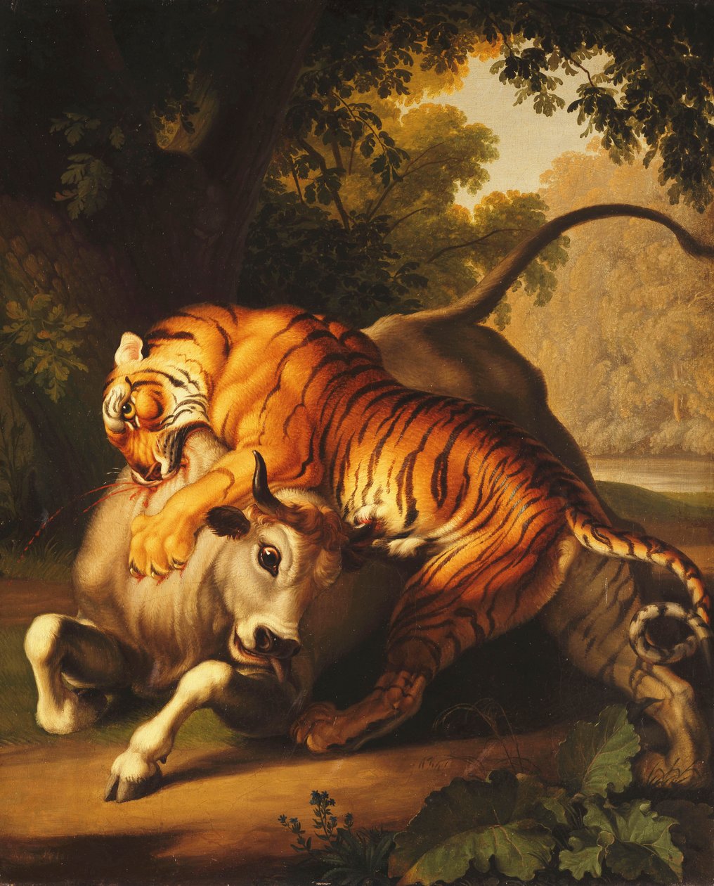 Un tigre attaquant un taureau, 1785 - Johan Wenzel Peter
