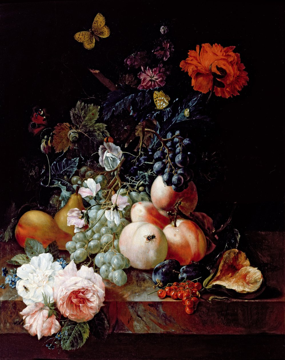 Nature morte - Johann Amandus Winck