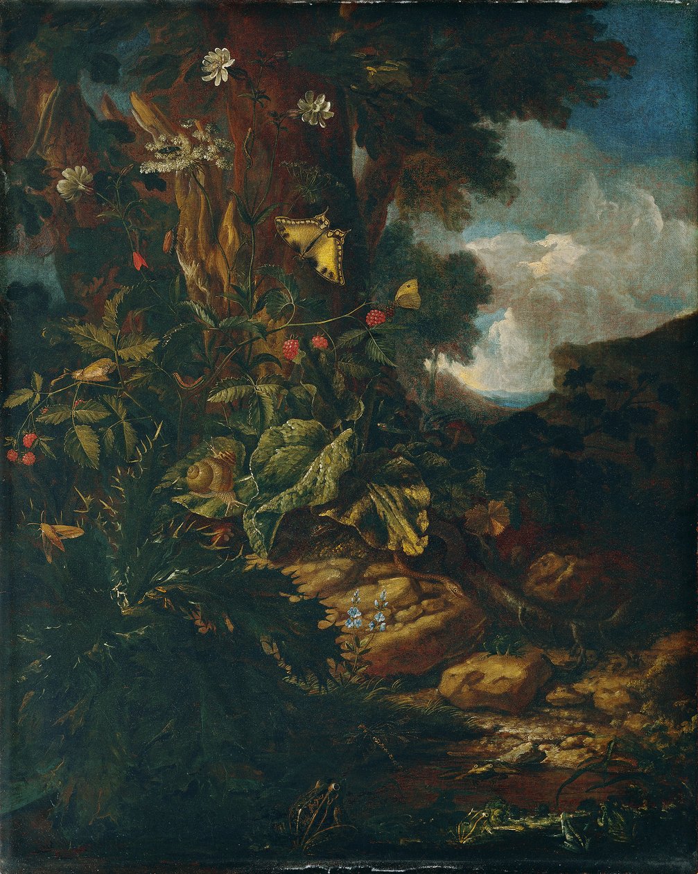 Paysage avec reptiles et insectes (II) - Johann Adalbert Angermayer