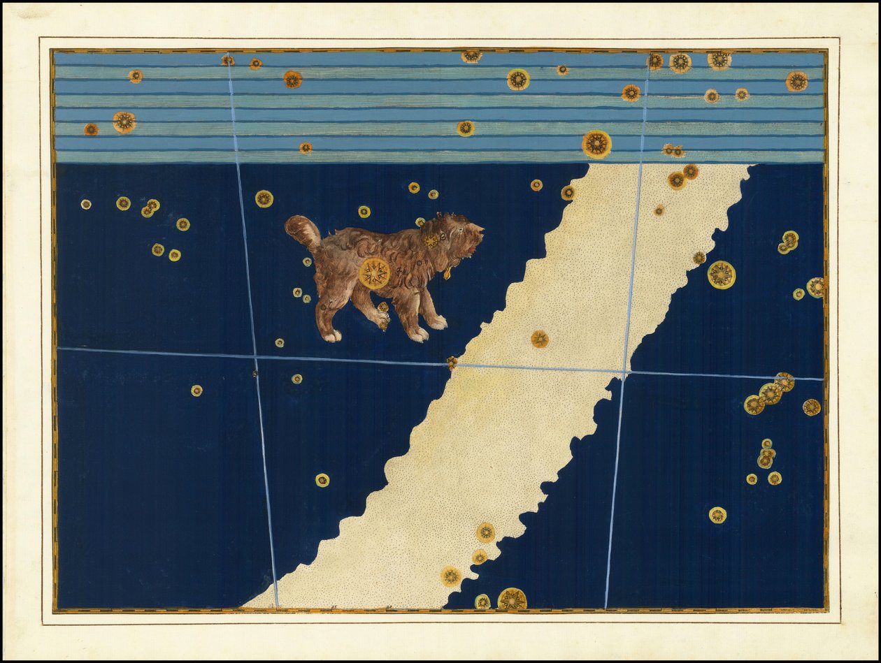 Johann Bayer, Canis Minor - Johann Bayer