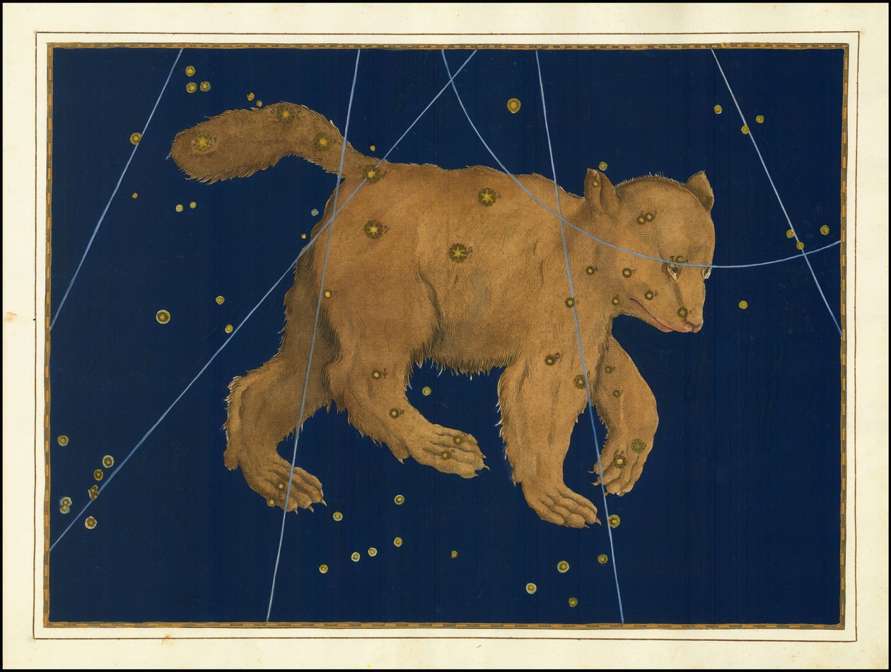 Johann Bayer, Ursa Major - Johann Bayer