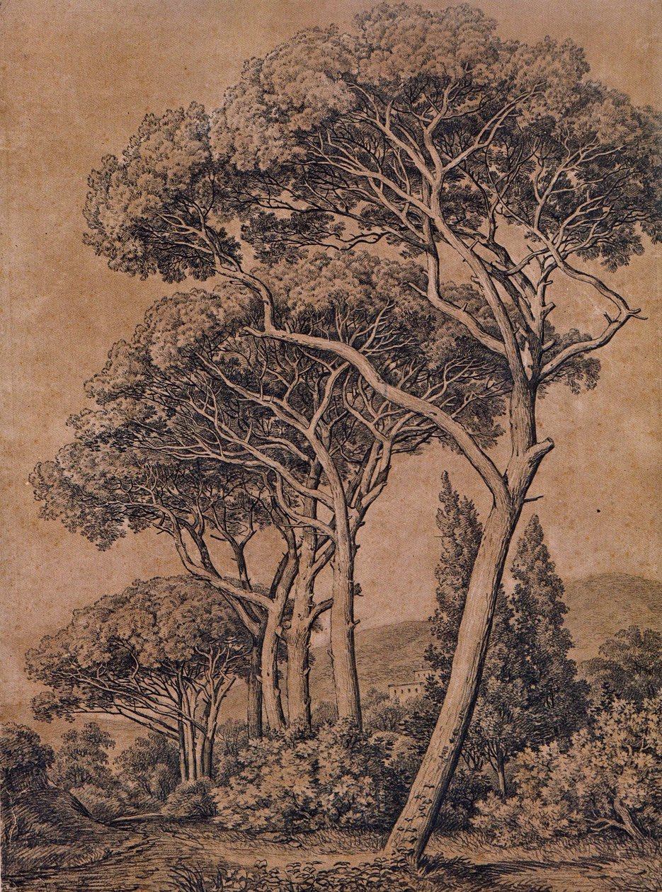J C Reinhart Pin parasol 1791 - Johann Christian Reinhart