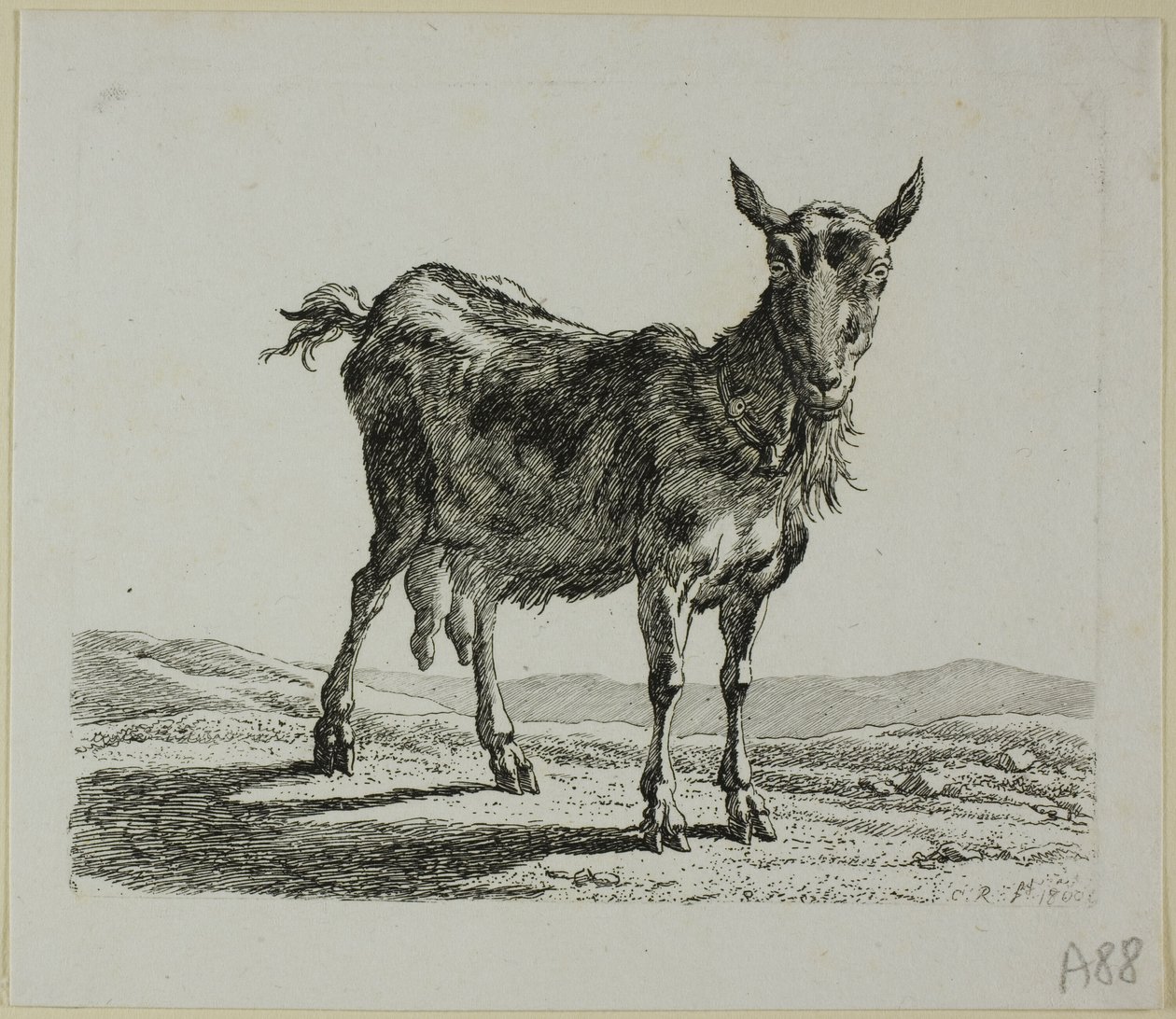 Chèvre Debout, de Die Zweite Thierfolge - Johann Christian Reinhart