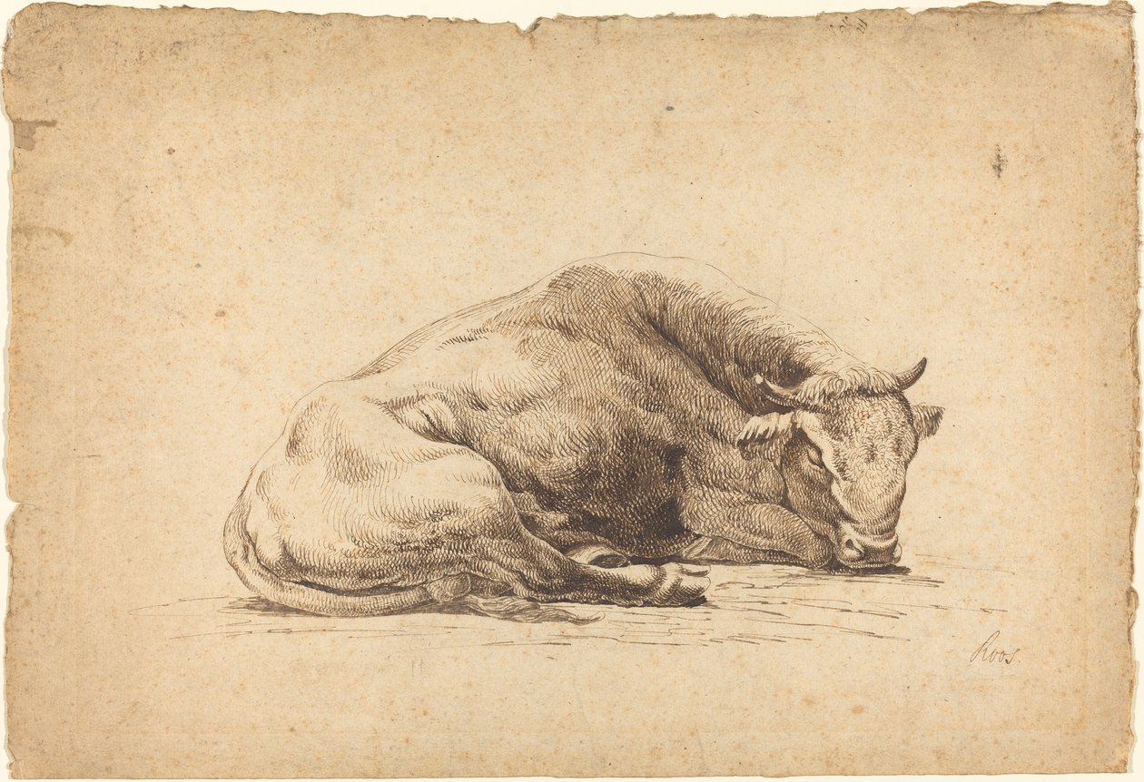 Un taureau dormant - Johann Heinrich Roos