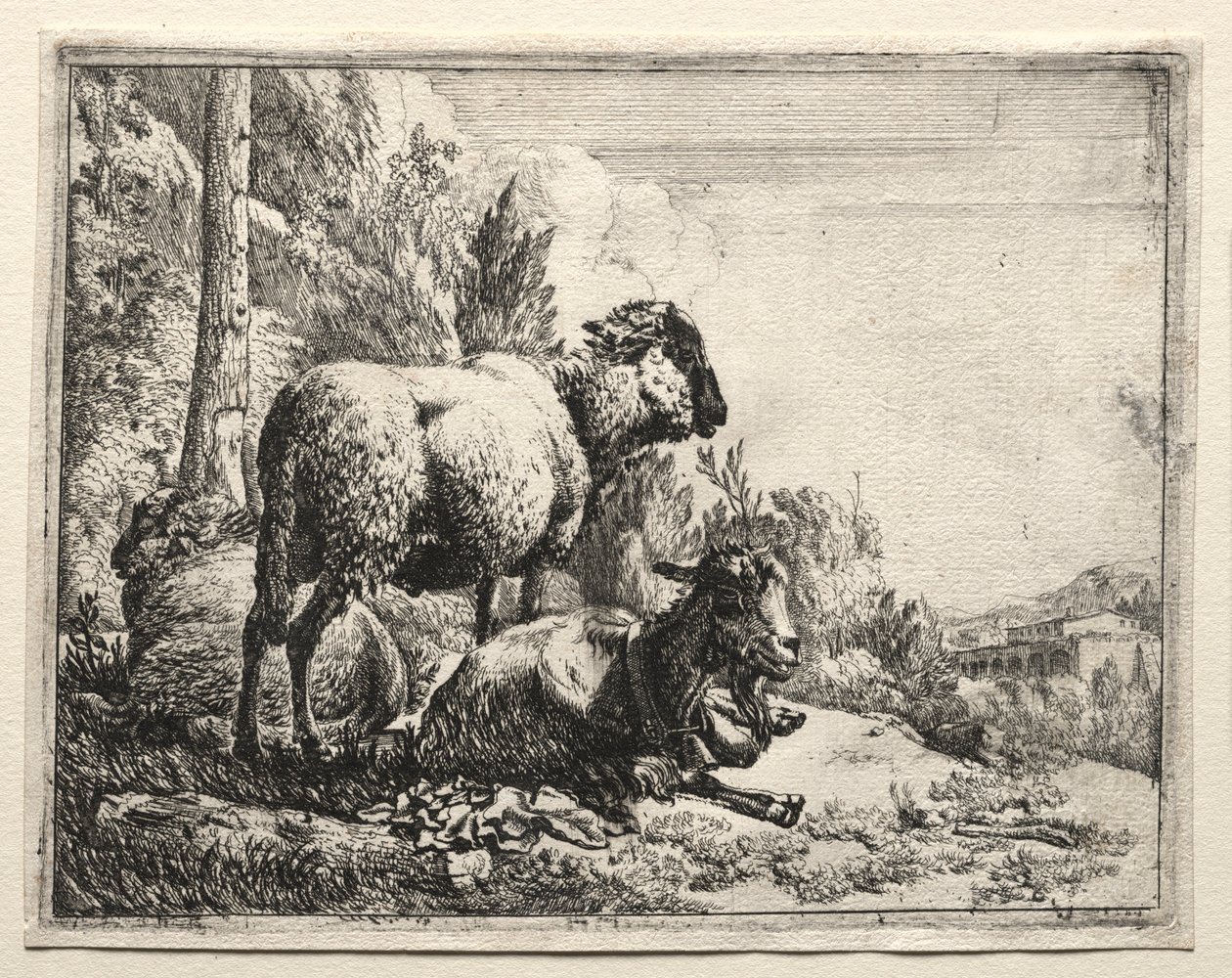 Chèvre avec cloche, 1665 - Johann Heinrich Roos