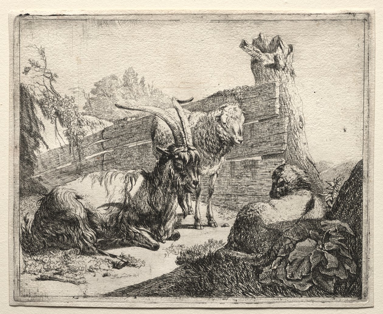 La Haie - Johann Heinrich Roos