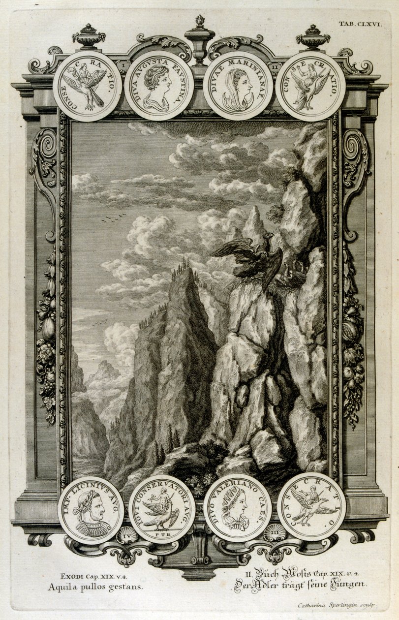 Zeus symbolisé comme un aigle - Johann Jakob Scheuchzer