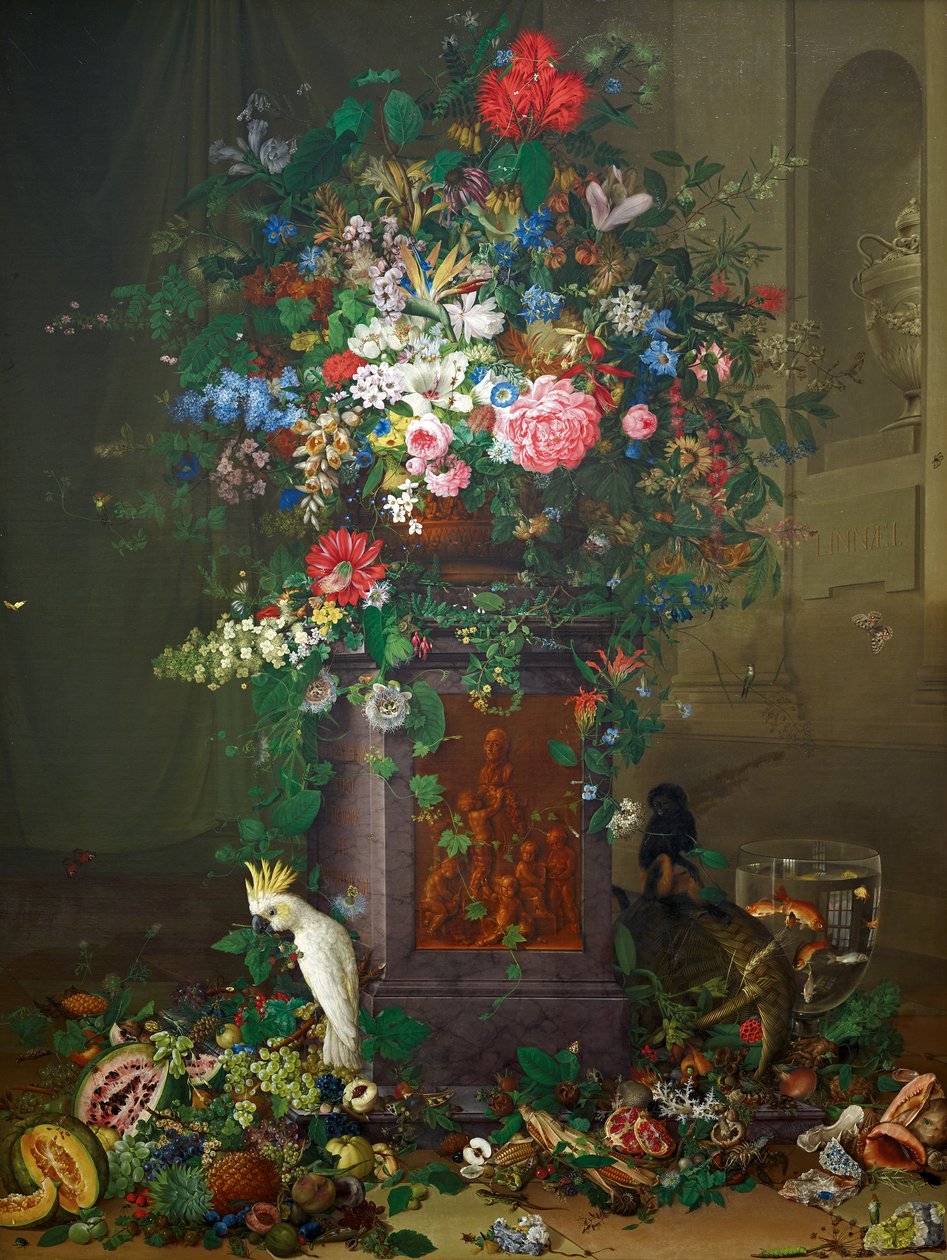 Hommage à Jacquin ("Monument de Jacquin") - Johann Knapp