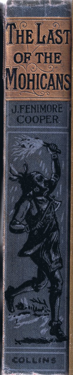 Conception de la colonne vertébrale - Johann Nepomuk Schonberg