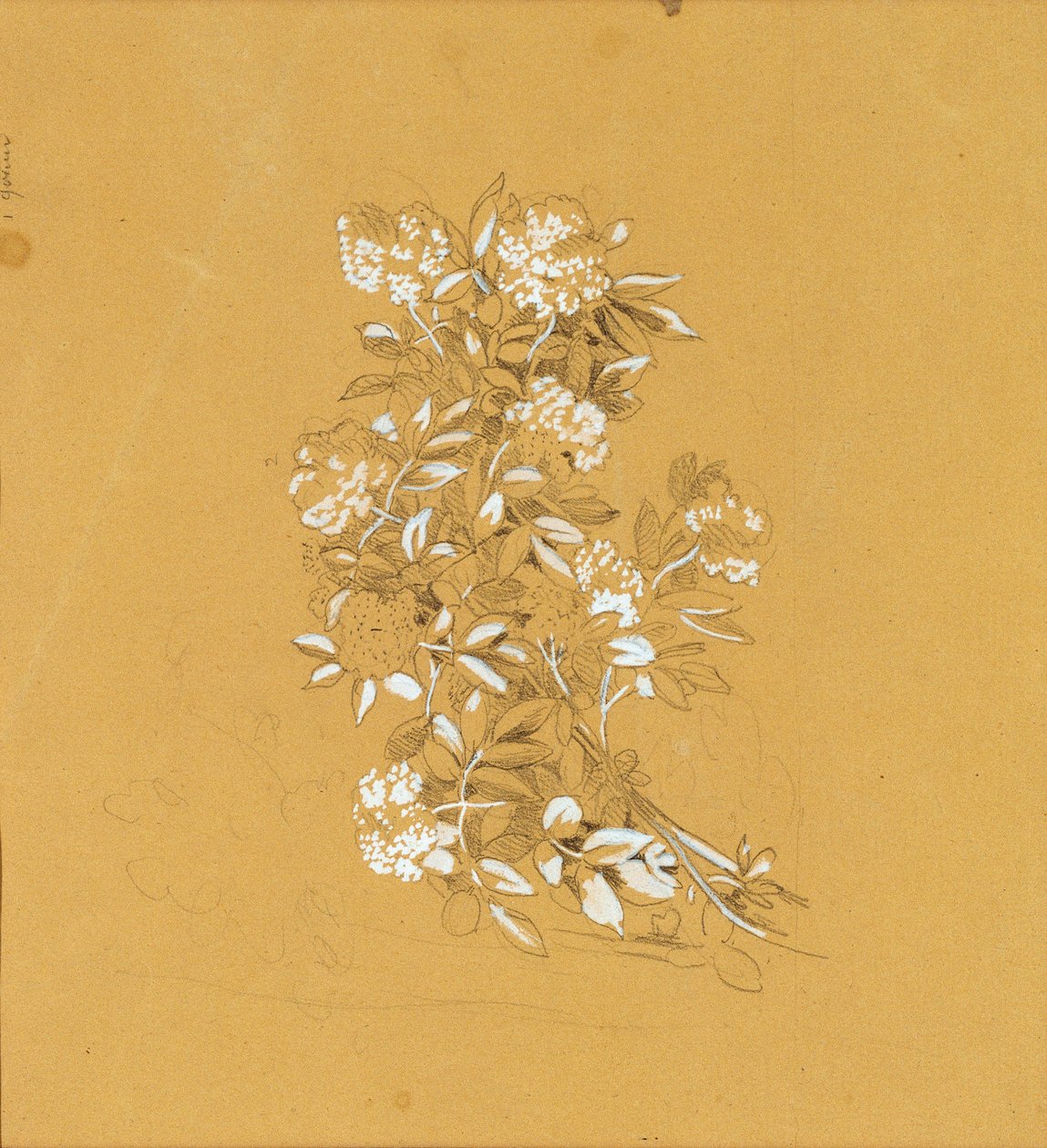 Bouquet de fleurs - Johann Peter Krafft