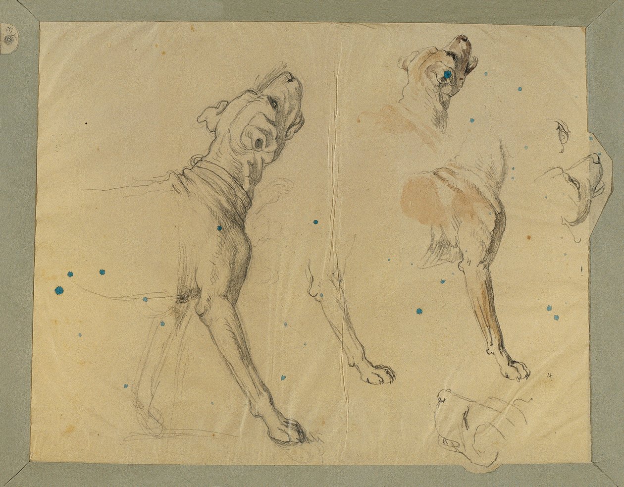 Étude de chien pour "Le retour du milicien" (1820) - Johann Peter Krafft