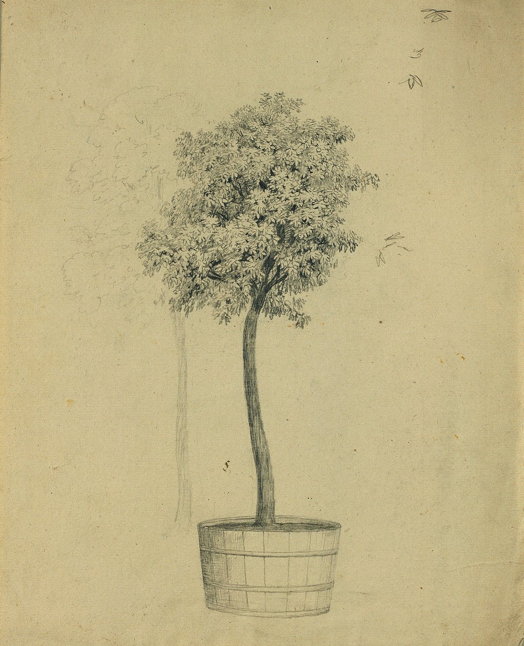 Étude d