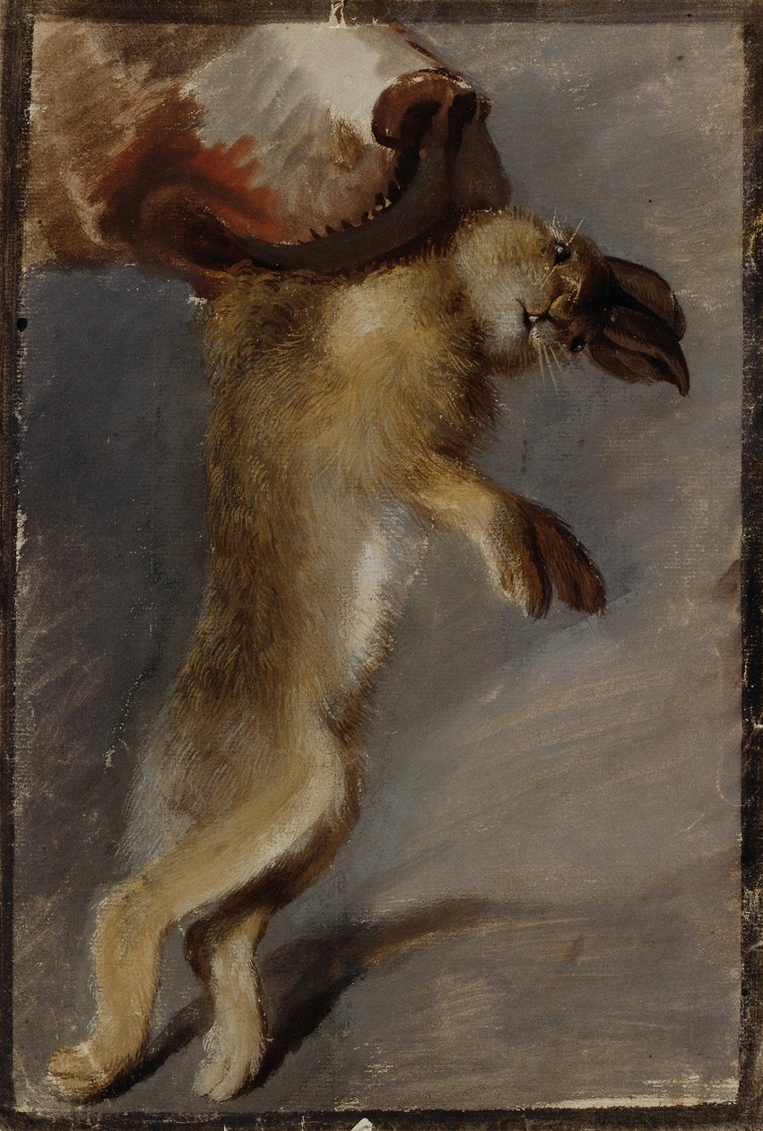 Étude d