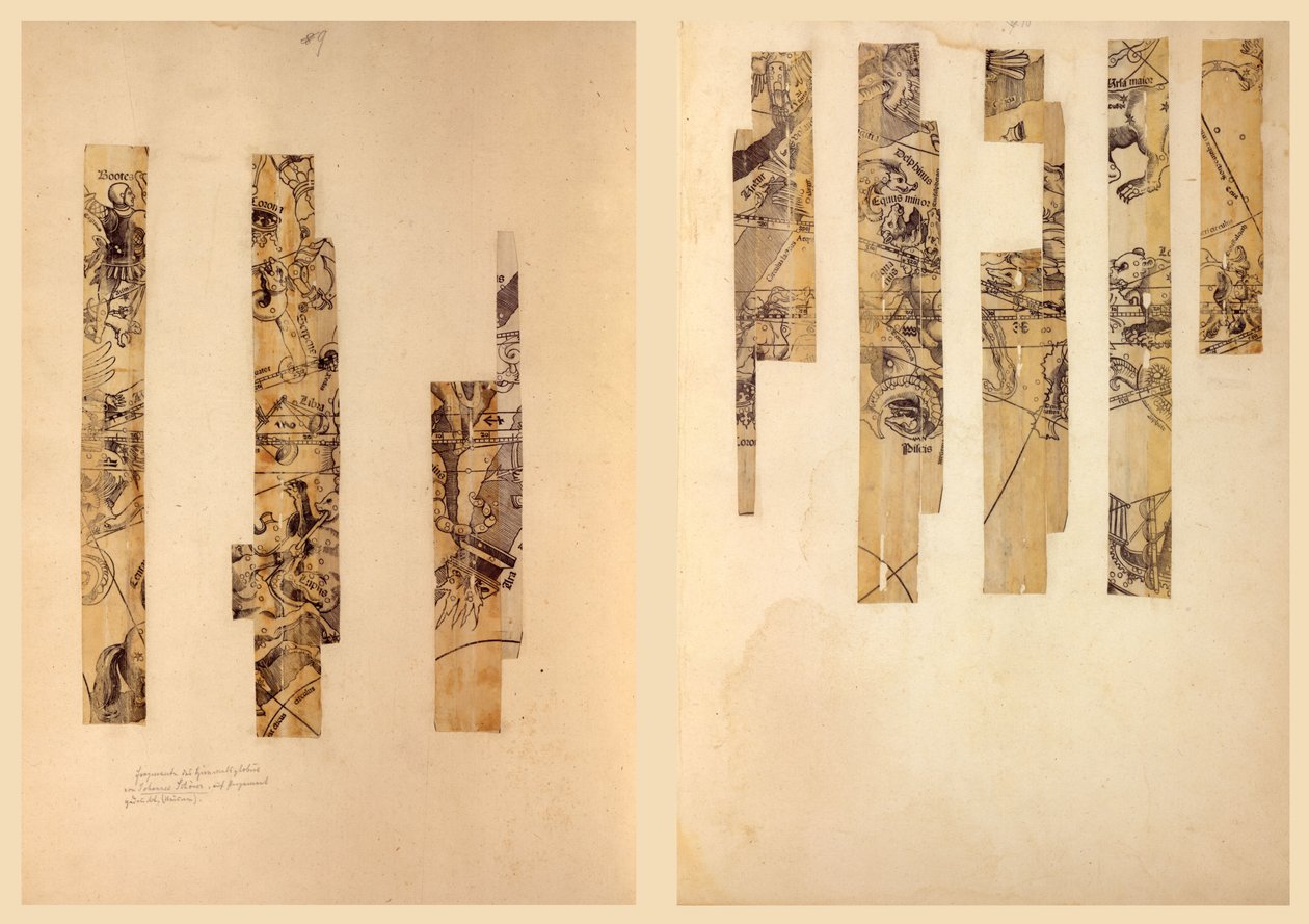 Globe céleste fragmentaire. LOC 2016586440 - Johann Schöner