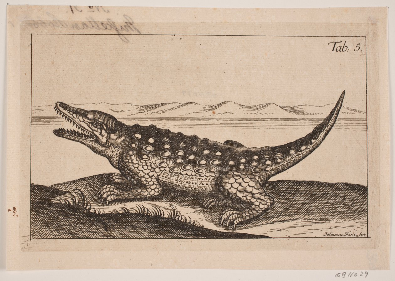 Un crocodile - Johanna Fosie
