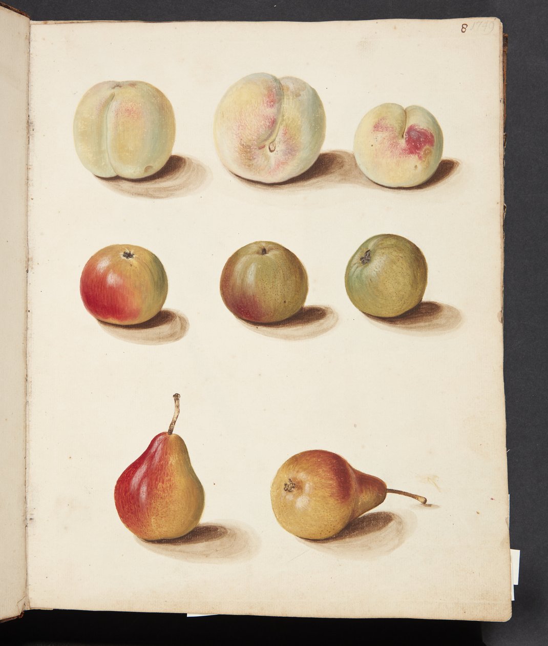 Étude de pêche, pomme et poire - Johanna Fosie