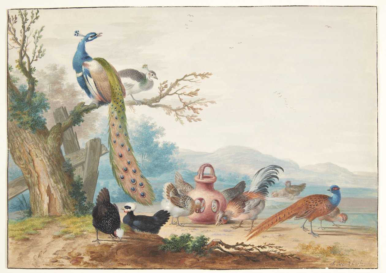 Paysage avec des oiseaux - Johannes Bronckhorst