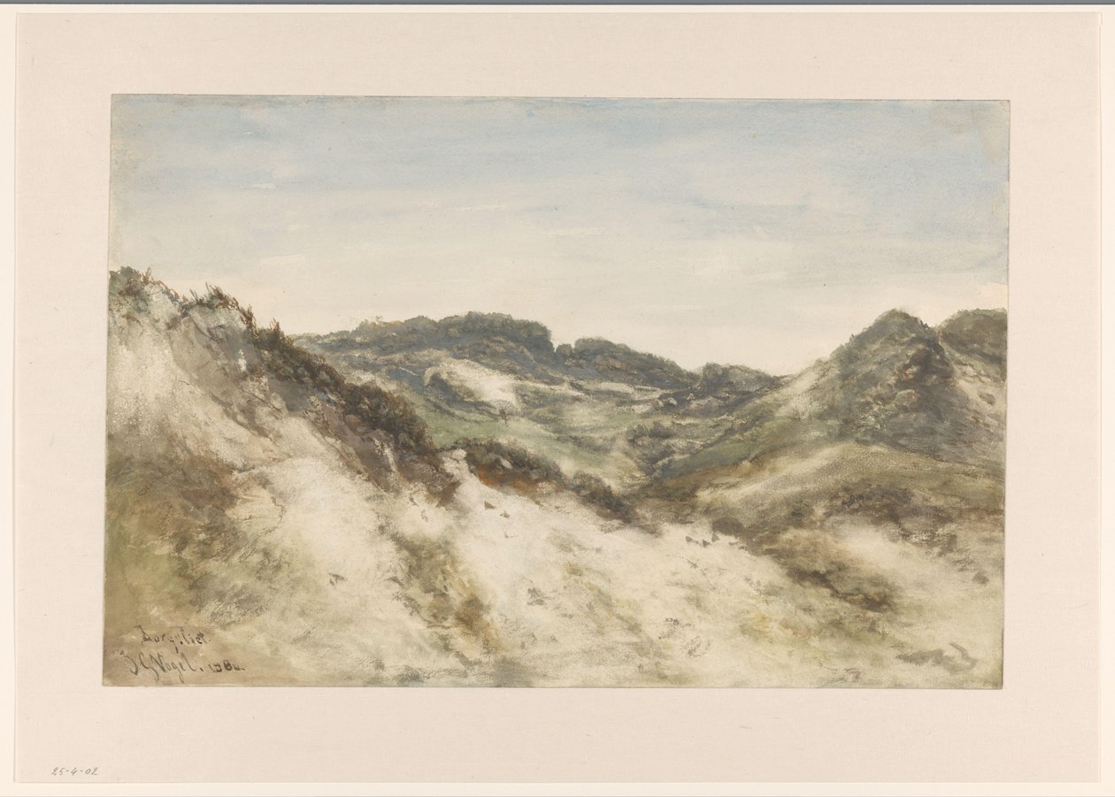 Paysage de dunes près de Zorgvliet - Johannes Gijsbert Vogel