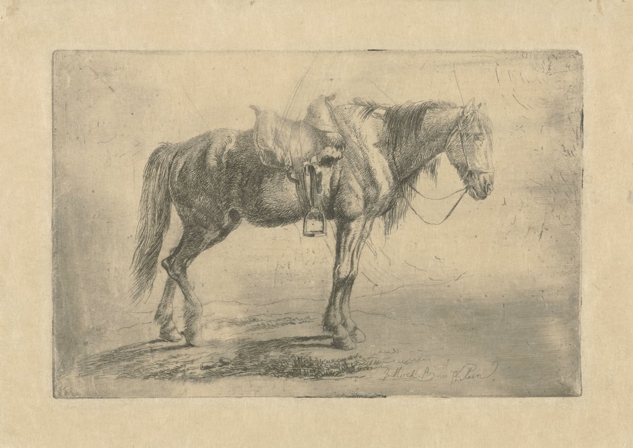 Cheval sellé vers la droite - Johannes Mock