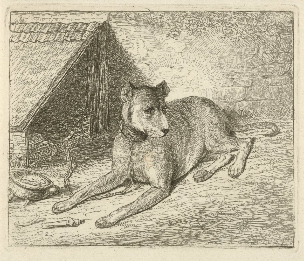 Chien enchaîné près d