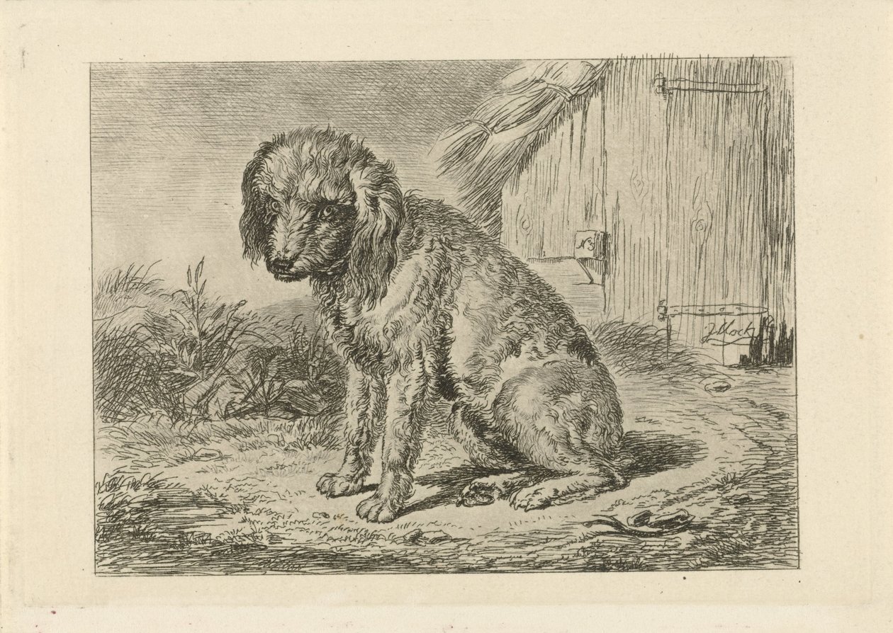 Chien assis près d