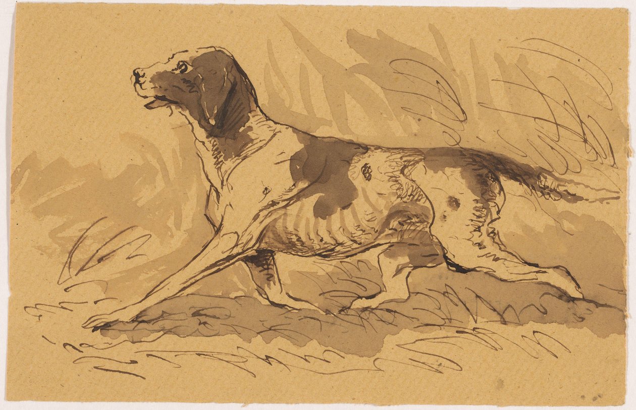 Chien de chasse - Johannes Tavenraat