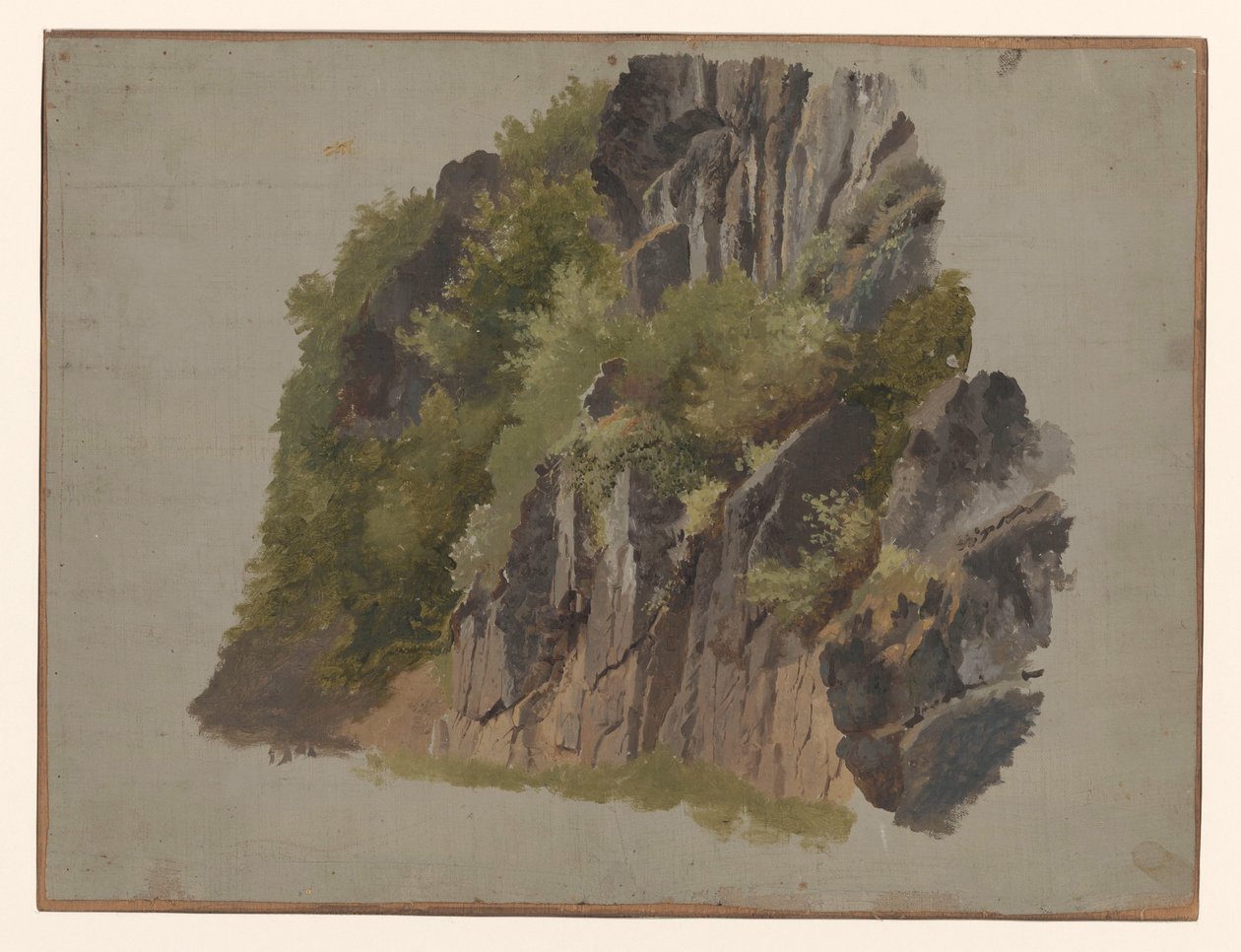 Rochers et végétation - Johannes Tavenraat